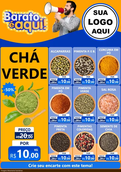 Modelo de Encarte para Encarte A4 Vertical com o tema Barato é aqui para Produtos Naturais