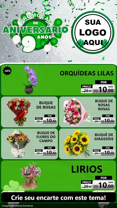 Modelo de TV para TV Vertical com o tema Promoção de Aniversário - 9 Anos para Floricultura e jardim