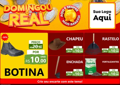 Modelo de Encarte para Encarte A4 Horizontal com o tema Domingou do Real para Agropecuária