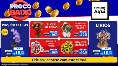 Modelo de TV para TV Horizontal com o tema Preço Baixo para Floricultura e jardim