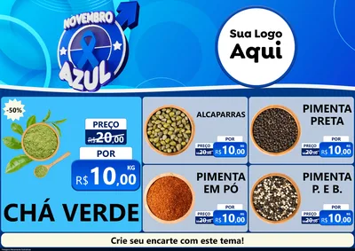 Modelo de Encarte para Encarte A4 Horizontal com o tema Novembro Azul para Produtos Naturais