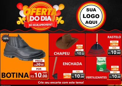 Modelo de Encarte para Encarte A4 Horizontal com o tema Oferta do Dia - Só hoje, Aproveite! para Agropecuária