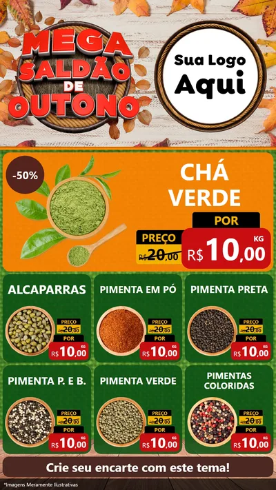 Modelo de Rede Social para Stories com o tema Mega Saldão de Outono para Produtos Naturais
