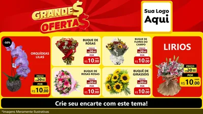 Modelo de TV para TV Horizontal com o tema Grandes Ofertas para Floricultura e jardim