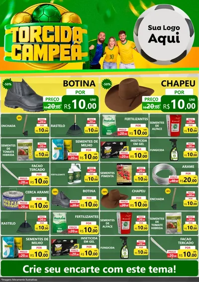 Modelo de Encarte para Encarte A4 Vertical com o tema Torcida Campeã - Copa para Agropecuária