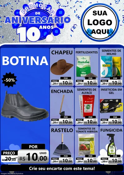 Modelo de Encarte para Encarte A4 Vertical com o tema Promoção de Aniversário - 10 Anos para Agropecuária