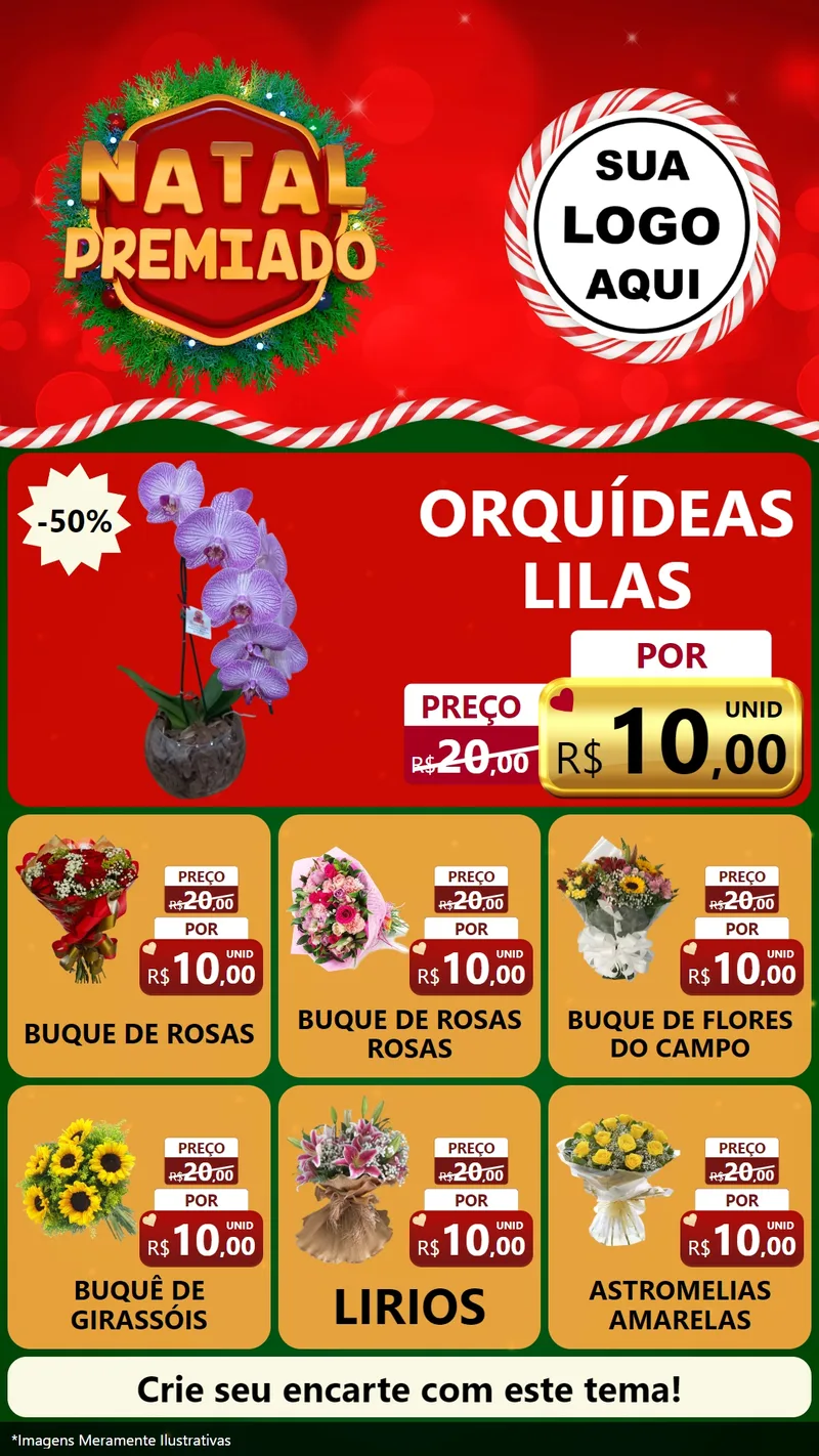 Modelo de Rede Social para Stories com o tema Natal Premiado para Floricultura e jardim