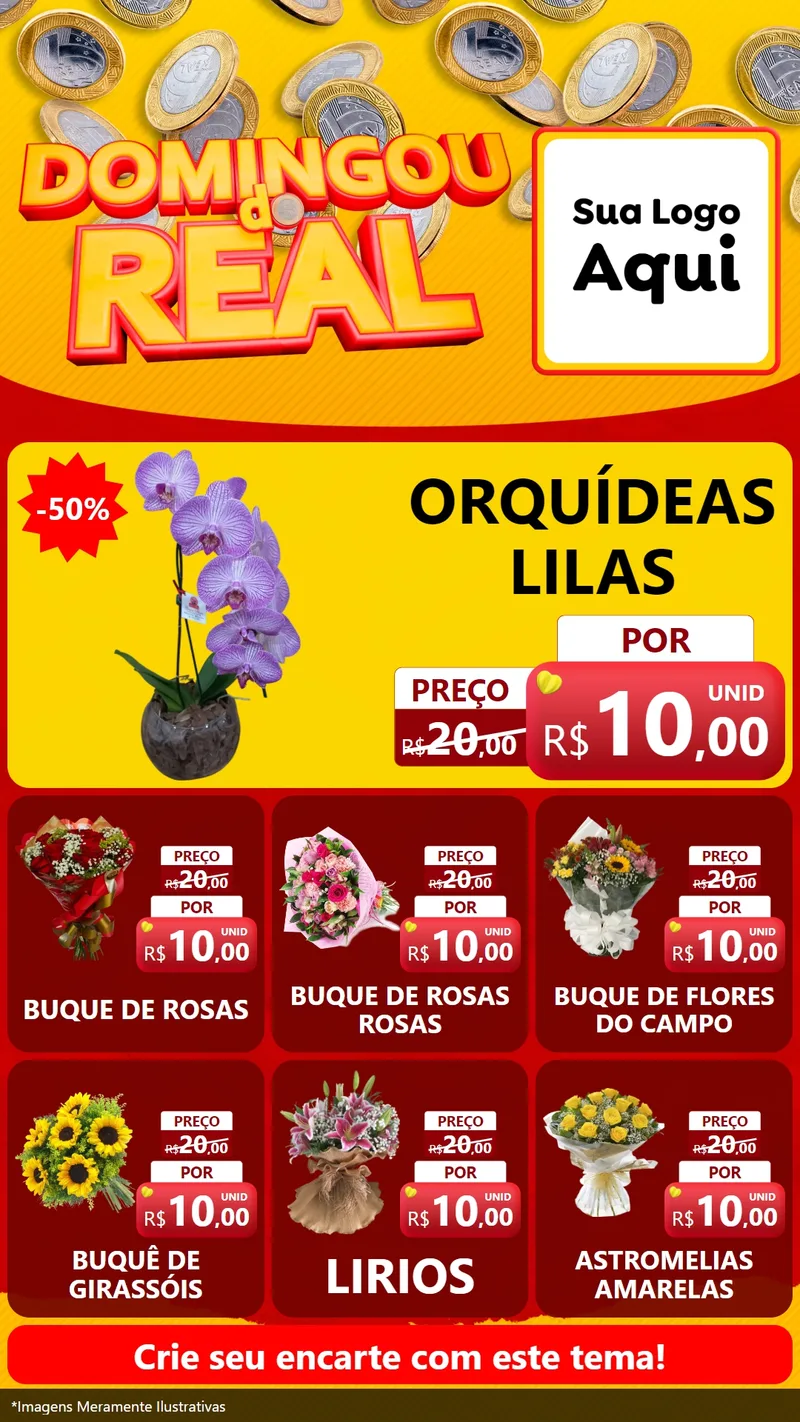 Modelo de Rede Social para Stories com o tema Domingou do Real para Floricultura e jardim
