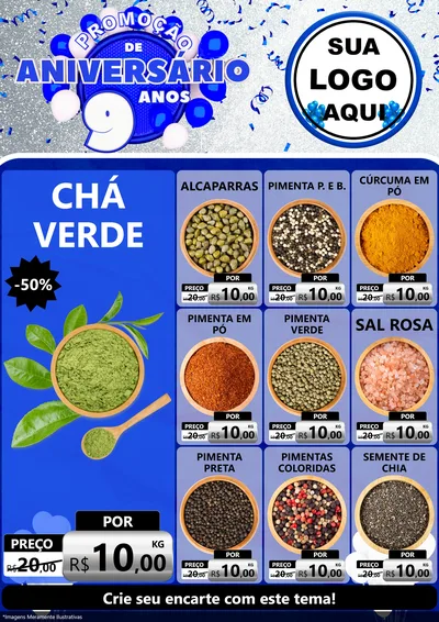 Modelo de Encarte para Encarte A4 Vertical com o tema Promoção de Aniversário - 9 Anos para Produtos Naturais