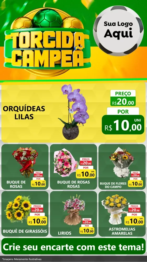 Modelo de Rede Social para Stories com o tema Torcida Campeã - Copa para Floricultura e jardim