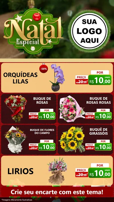 Modelo de TV para TV Vertical com o tema Natal Especial para Floricultura e jardim