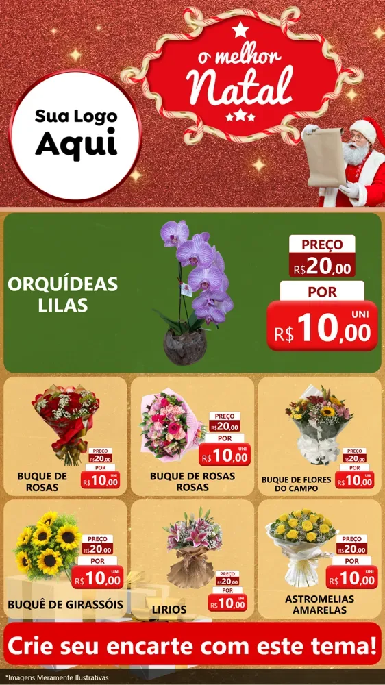 Modelo de Rede Social para Stories com o tema O Melhor Natal para Floricultura e jardim