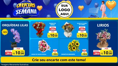Modelo de TV para TV Horizontal com o tema Ofertas de Fim de Semana para Floricultura e jardim