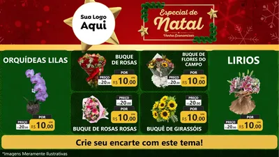 Modelo de TV para TV Horizontal com o tema Especial de Natal para Floricultura e jardim