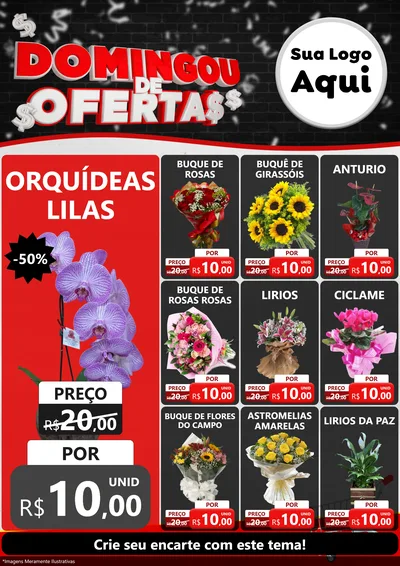 Modelo de Encarte para Encarte A4 Vertical com o tema Domingou de Ofertas para Floricultura e jardim