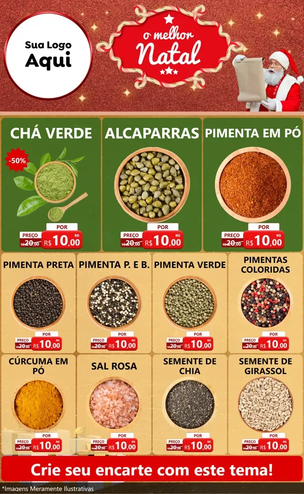 Modelo de Encarte para Encarte Grande com o tema O Melhor Natal para Produtos Naturais
