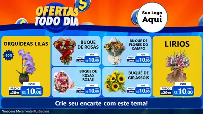 Modelo de TV para TV Horizontal com o tema Ofertas Todo Dia para Floricultura e jardim