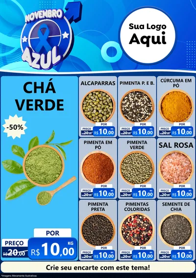 Modelo de Encarte para Encarte A4 Vertical com o tema Novembro Azul para Produtos Naturais