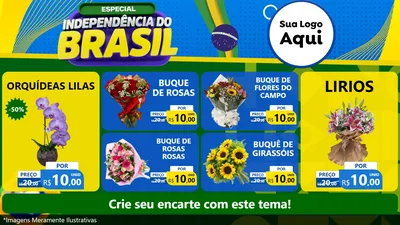 Modelo de TV para TV Horizontal com o tema Especial Independência do Brasil para Floricultura e jardim