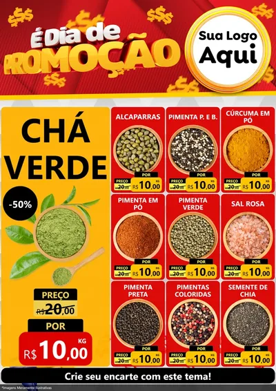 Modelo de Encarte para Encarte A4 Vertical com o tema É Dia De Promoção para Produtos Naturais