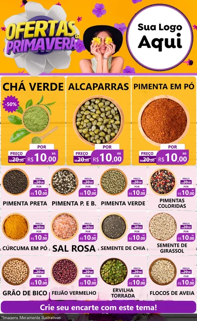 Modelo de Encarte para Encarte Grande com o tema Ofertas Da Primavera para Produtos Naturais