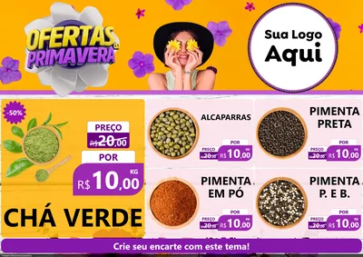 Modelo de Encarte para Encarte A4 Horizontal com o tema Ofertas Da Primavera para Produtos Naturais