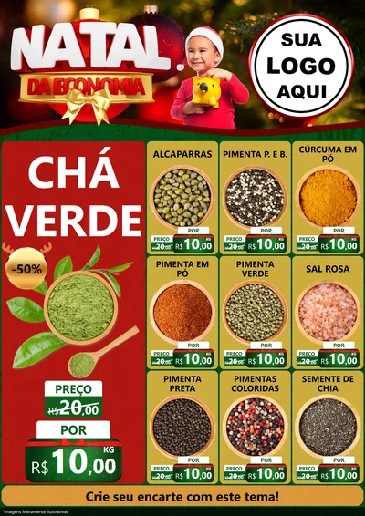 Modelo de Encarte para Encarte A4 Vertical com o tema Natal da Economia para Produtos Naturais