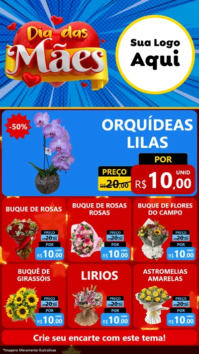 Modelo de Rede Social para Stories com o tema Dia das Mães para Floricultura e jardim