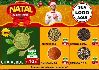 Modelo de Encarte para Encarte A4 Horizontal com o tema Natal da Economia para Produtos Naturais