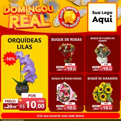 Modelo de Rede Social para Feed Facebook com o tema Domingou do Real para Floricultura e jardim