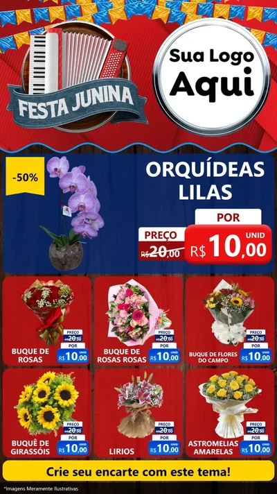 Modelo de Rede Social para Stories com o tema Festa Junina para Floricultura e jardim