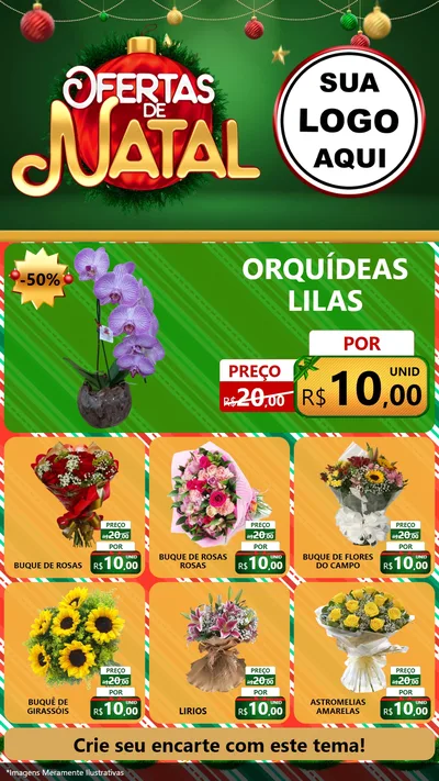 Modelo de Rede Social para Stories com o tema Ofertas de Natal para Floricultura e jardim