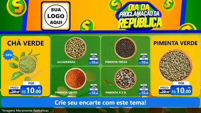 Modelo de TV para TV Horizontal com o tema Dia Da Proclamação da República para Produtos Naturais