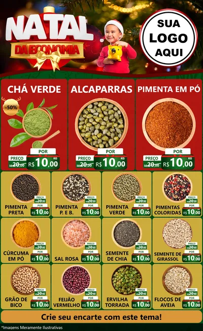 Modelo de Encarte para Encarte Grande com o tema Natal da Economia para Produtos Naturais
