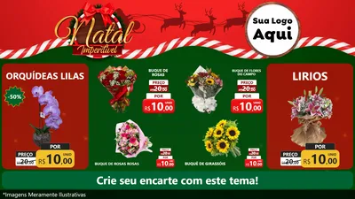 Modelo de TV para TV Horizontal com o tema Natal Imperdível para Floricultura e jardim