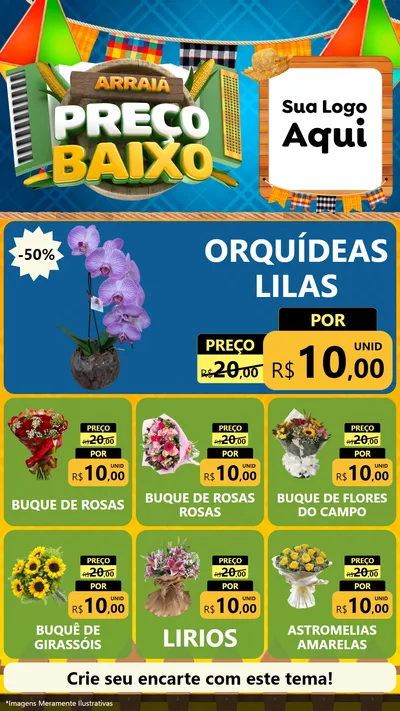 Modelo de Rede Social para Stories com o tema Arraiá de Preço Baixo - Junina para Floricultura e jardim