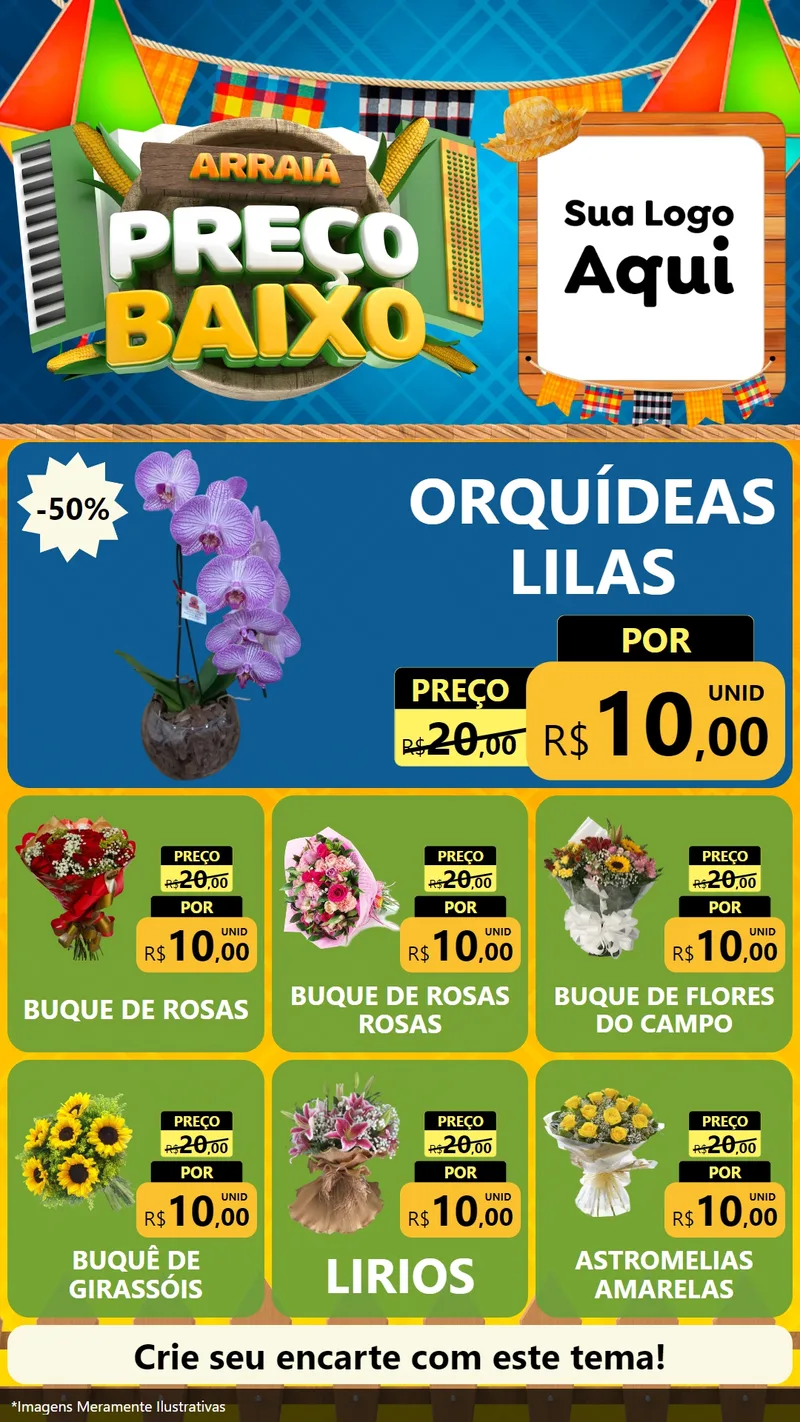 Modelo de Rede Social para Stories com o tema Arraiá de Preço Baixo - Junina para Floricultura e jardim