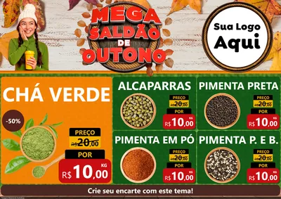 Modelo de Encarte para Encarte A4 Horizontal com o tema Mega Saldão de Outono para Produtos Naturais