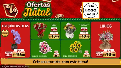Modelo de TV para TV Horizontal com o tema Ofertas de Natal para Floricultura e jardim