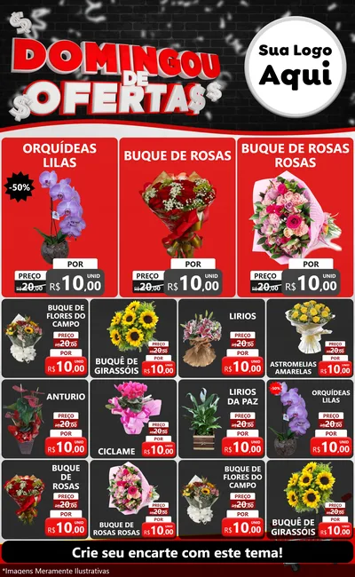 Modelo de Encarte para Encarte Grande com o tema Domingou de Ofertas para Floricultura e jardim