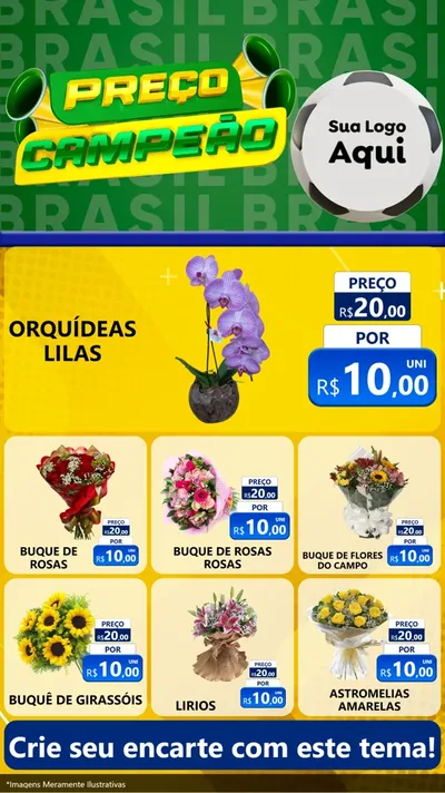 Modelo de Rede Social para Stories com o tema Preço Campeão - Copa para Floricultura e jardim