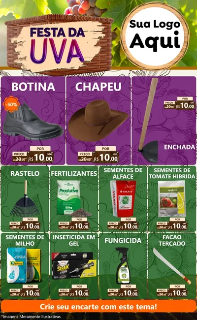 Modelo de Encarte para Encarte Grande com o tema Festa da Uva para Agropecuária