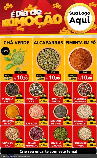 Modelo de Encarte para Encarte Grande com o tema É Dia De Promoção para Produtos Naturais