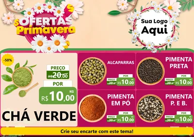 Modelo de Encarte para Encarte A4 Horizontal com o tema Ofertas de Primavera para Produtos Naturais