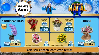 Modelo de TV para TV Horizontal com o tema Ofertas de Natal para Floricultura e jardim