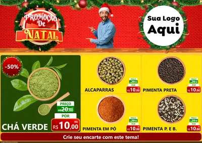 Modelo de Encarte para Encarte A4 Horizontal com o tema Promoção de Natal para Produtos Naturais