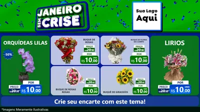 Modelo de TV para TV Horizontal com o tema Janeiro Sem Crise para Floricultura e jardim