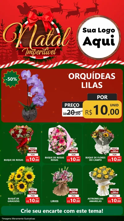 Modelo de Rede Social para Stories com o tema Natal Imperdível para Floricultura e jardim