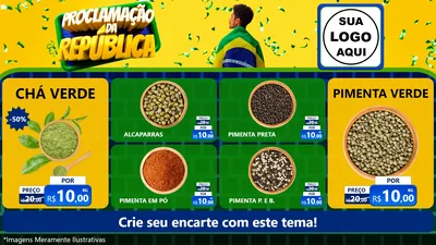Modelo de TV para TV Horizontal com o tema Proclamação da República para Produtos Naturais