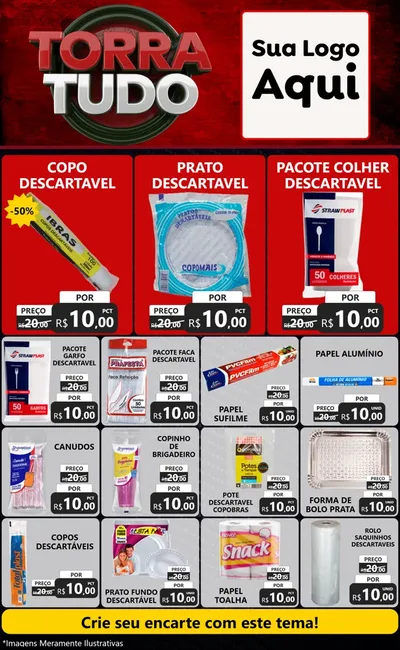 Modelo de Encarte para Encarte Grande com o tema Torra Tudo para Embalagens